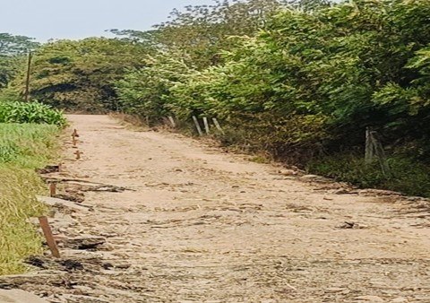 रस्त्याची कामे व दुरुस्ती करणे तसेच पानंद रस्ते दुरुस्ती २